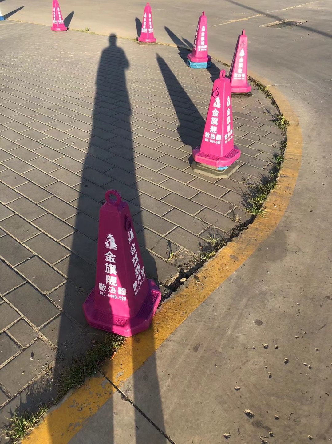 金旗舰 金旗舰