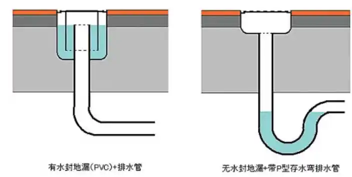 金旗舰 金旗舰