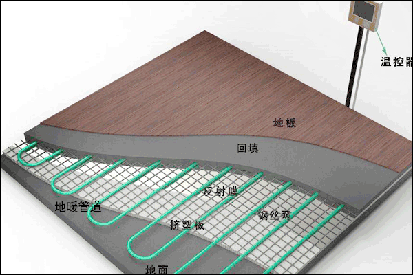 金旗舰