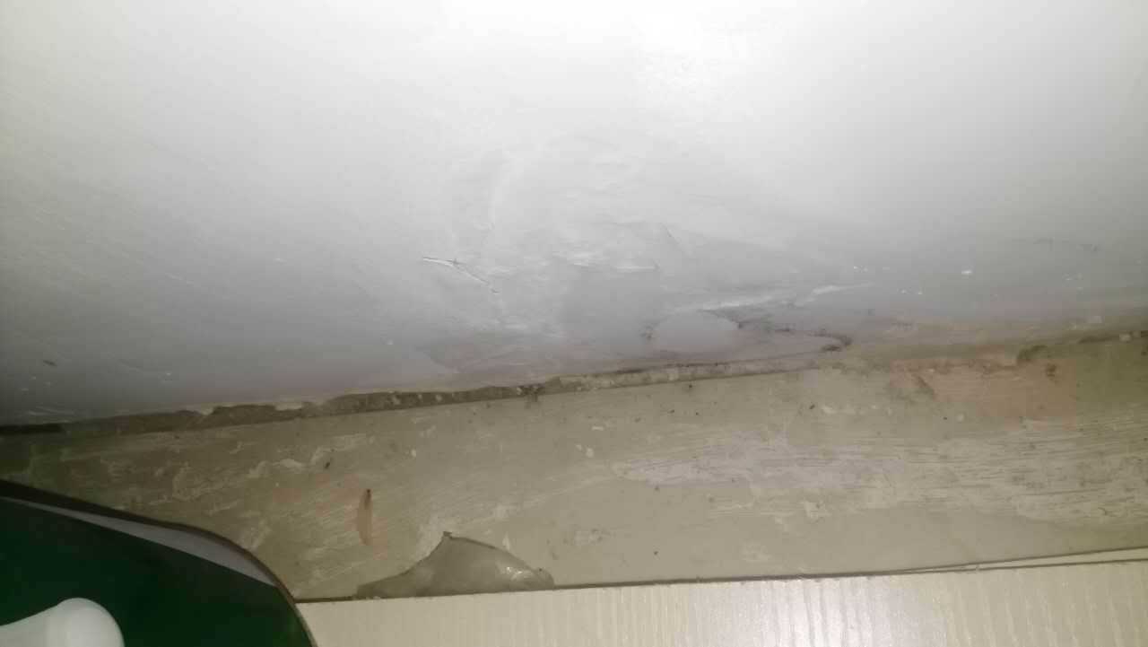 金旗舰