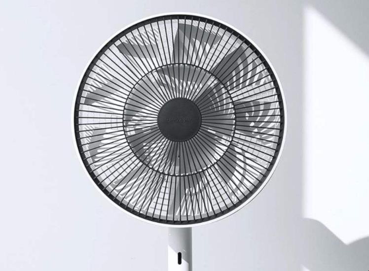 金旗舰